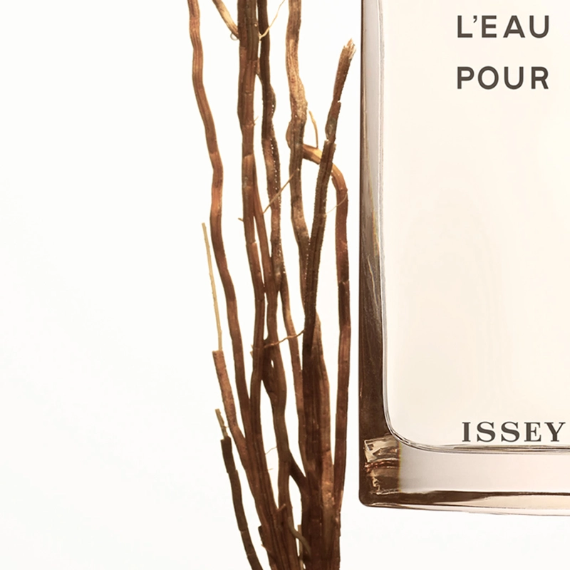 Issey Miyake Vetiver EDT 100 Ml - Billede 6
