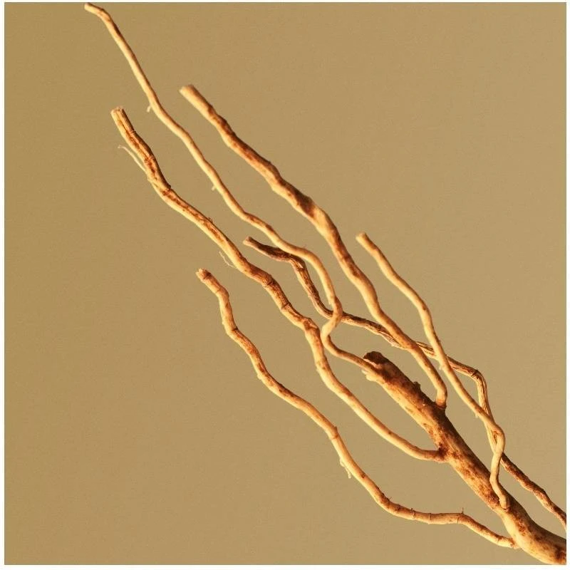 Hugo Boss Bottled EDP 50 Ml - Billede 6