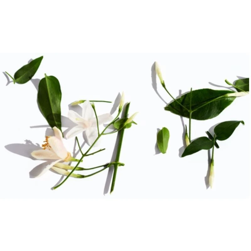 Paco Rabanne Lady Million Deodorant Spray 150 Ml - Billede 3